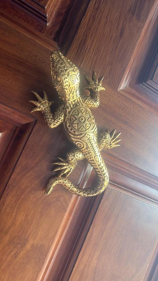 Salamandra 卡沃内拉斯 外观 照片